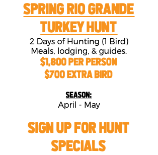 Spring Rio Grande Turkey Hunt 2 Days of Hunting (1 Bird) Meals, lodging, & guides. $1,800 per person $700 extra Bird Season: April - May SIGN UP FOR HUNT SPECIALS 
