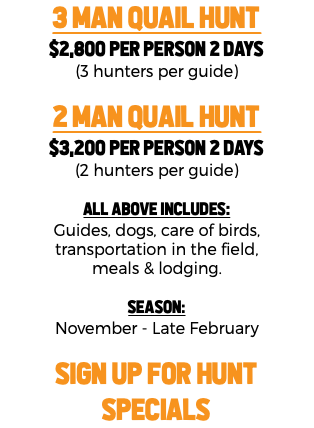 3 MAN Quail Hunt $2,800 per person 2 days (3 hunters per guide) 2 MAN Quail Hunt $3,200 per person 2 days (2 hunters per guide) All Above includes: Guides, dogs, care of birds, transportation in the field, meals & lodging. Season: November - Late February SIGN UP FOR HUNT SPECIALS 